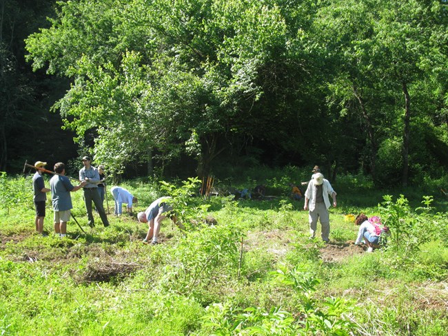 group of people hold lawn tools in grassy field under shade trees