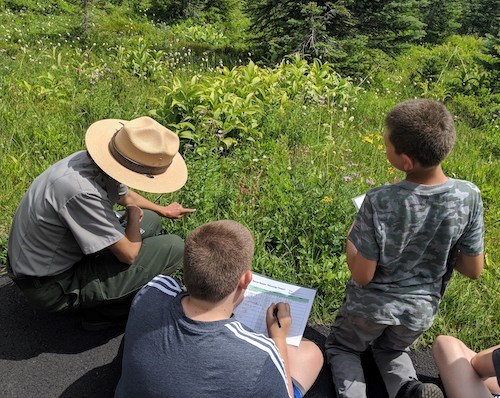 A ranger crouches down next to some sitting children to point out wildflowers in a meadow.