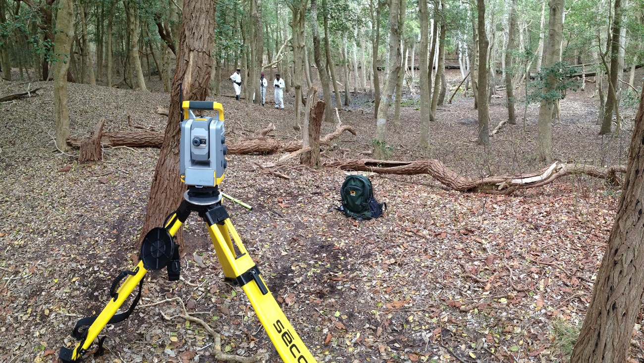 gps equipment in underneath a canopy of holly trees