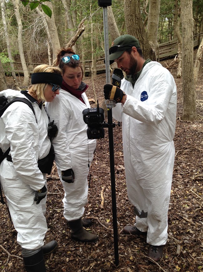 researchers use gps equipment in the sunken holly forest