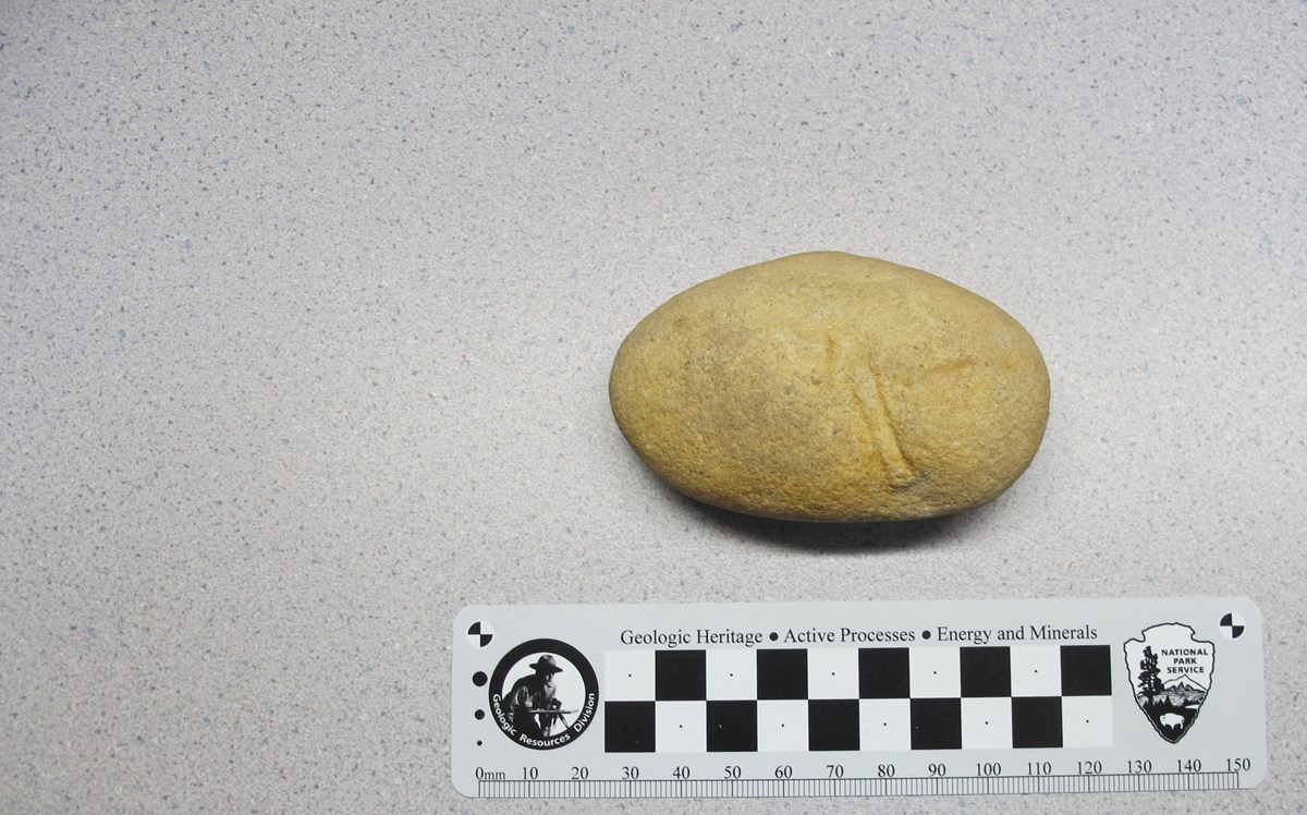 small light yellowish stone with a long cylindrical shape impression on the right side