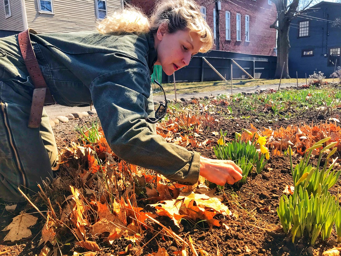 Woman bends over a garden bed and examines plants