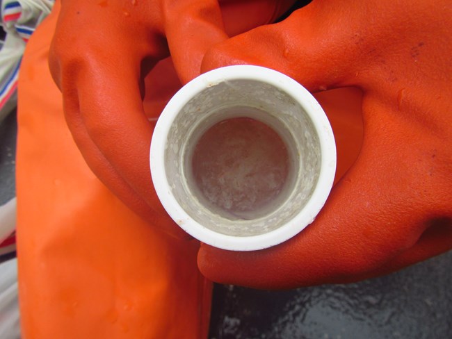 Researcher Russ Hopcroft holds a cup of filtered Glacier Bay seawater with masses of zooplankton visible.