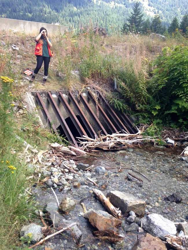 Measuring the slope on a stream Person standing over a stream holding up a device for measuring its slope