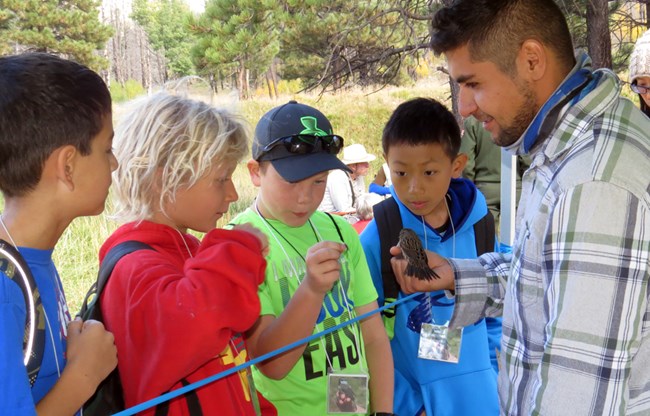 Wildlife biology intern demonstrates the proper way to hold a bird to schoolchildren