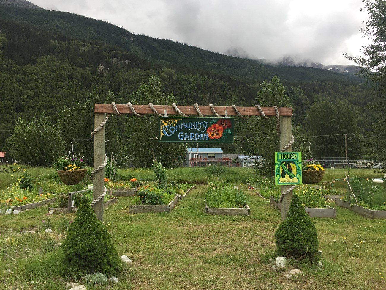 A picture of a garden plots with sign reading "Community Garden"