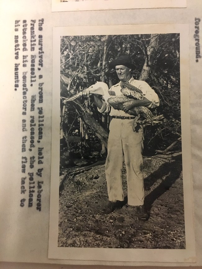 black and white photo of man holding a pelican