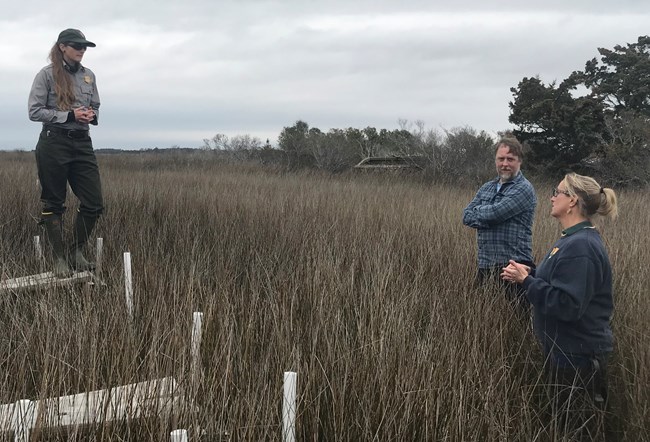 Lisa Cowart Baron talks SET Woman stands on platform in salt marsh talking to two people on the ground.