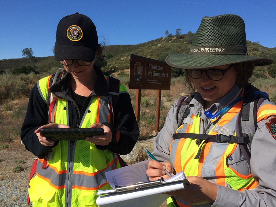 Park staff and volunteer looking at datasheets and tablets for recording data