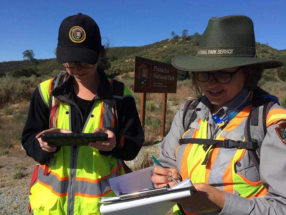 Invasive Plants Early Detection Team Park staff and volunteer looking at datasheets and tablets for recording data