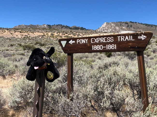 IMG_7392 toy dog near Pony Express sign
