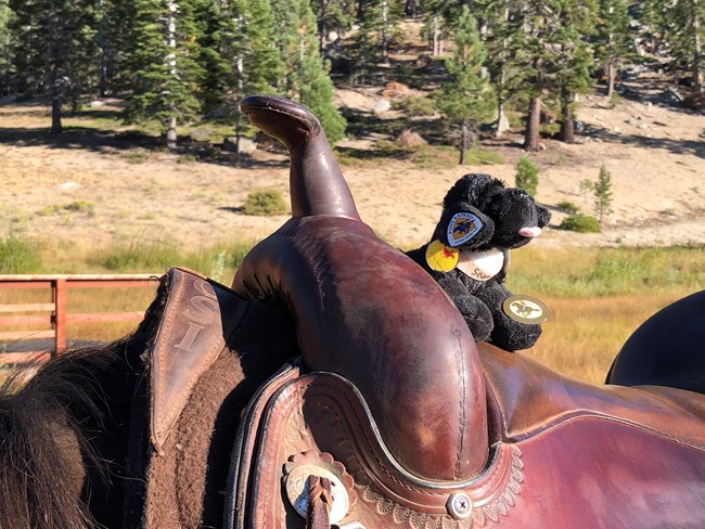 IMG_7408 toy dog on horse