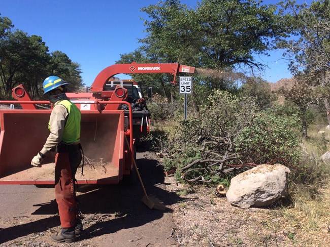 Chipping cut vegetation
