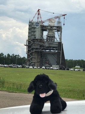 Toy dog in front of pressure tank