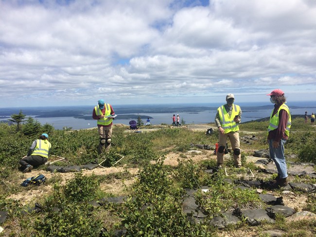 people tending plants on top of a mountain