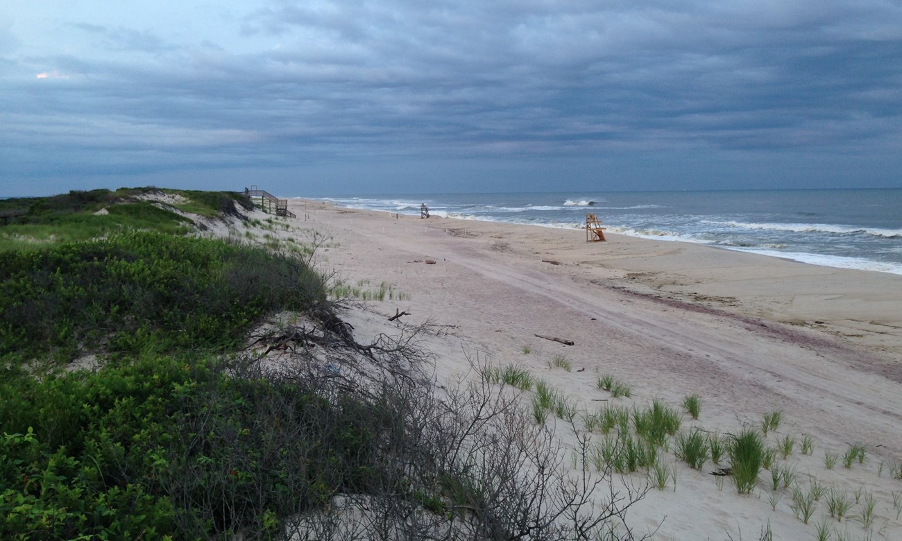 dunes and beach with a choppy see and dark sky at Fire island