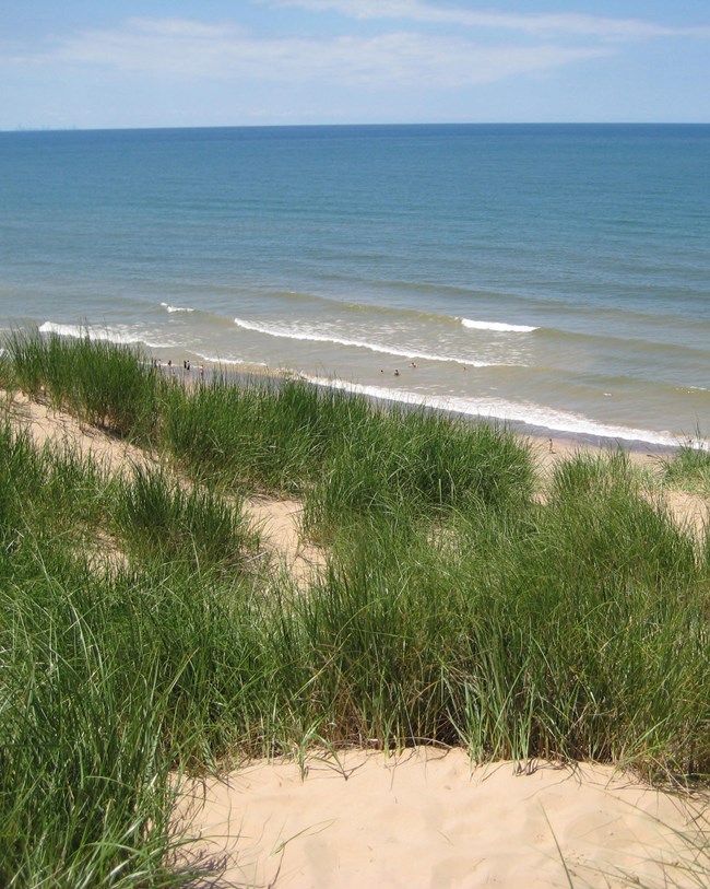 INDU_dune_lakeshore_nocover dune and lakeshore