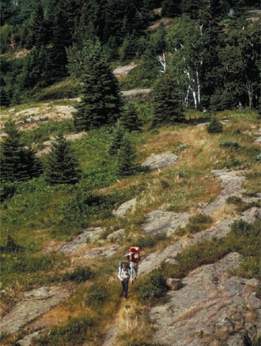 hikers on rock outcrops with forest in background