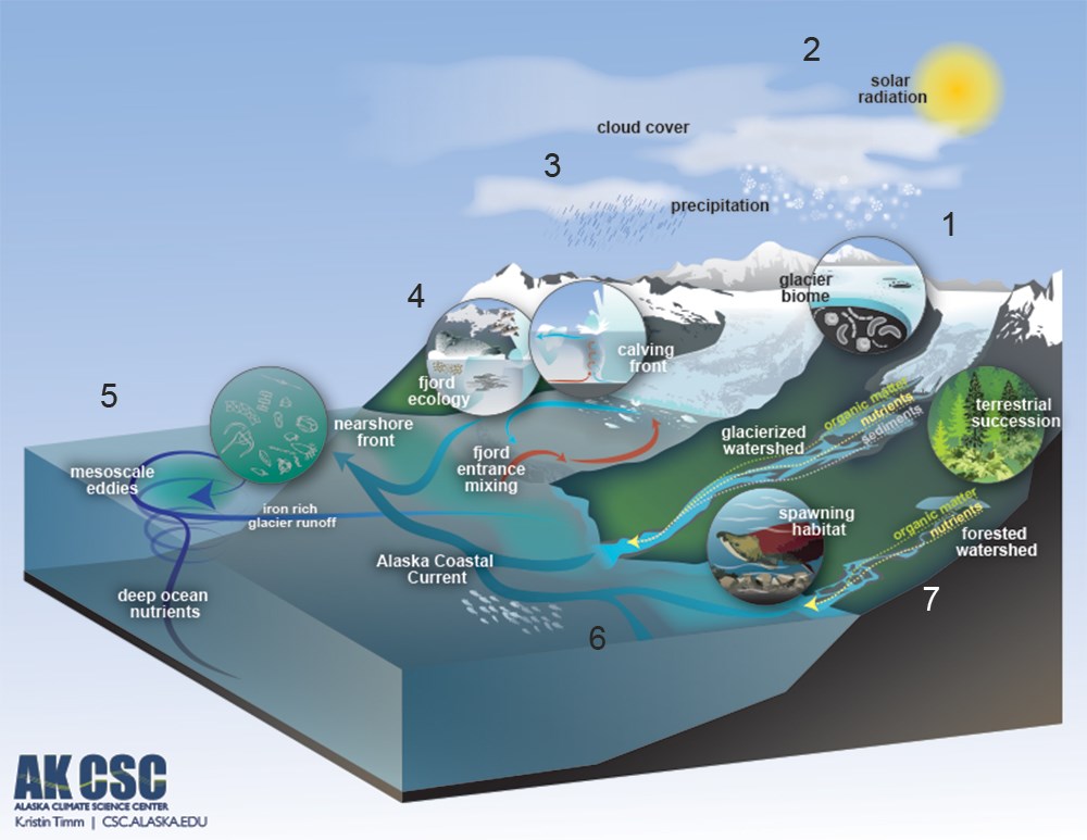 A model of the ecological dynamics of a glacier-dominated landscape.