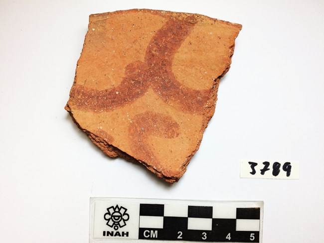 Orange ceramic sherd