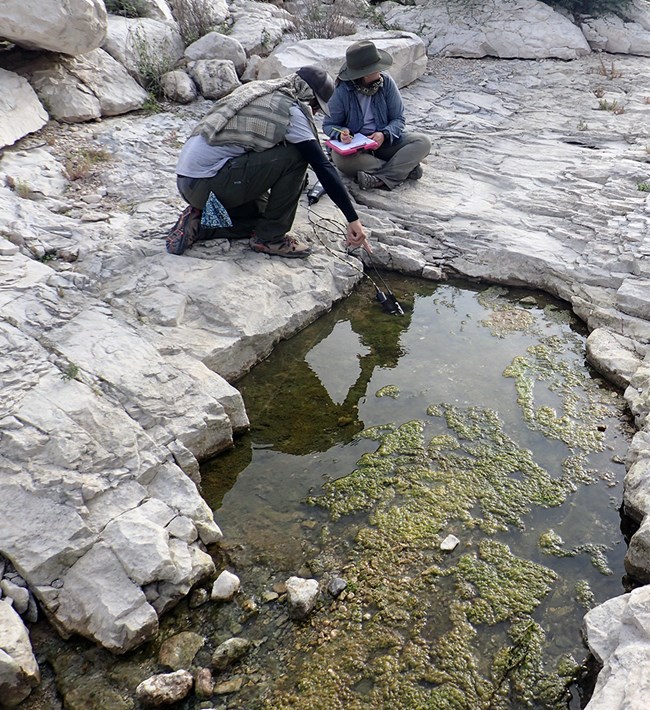 Indian Springs Canyon Spring Two people crouched down by a small pool of water in a rock lined basin and filled with algae