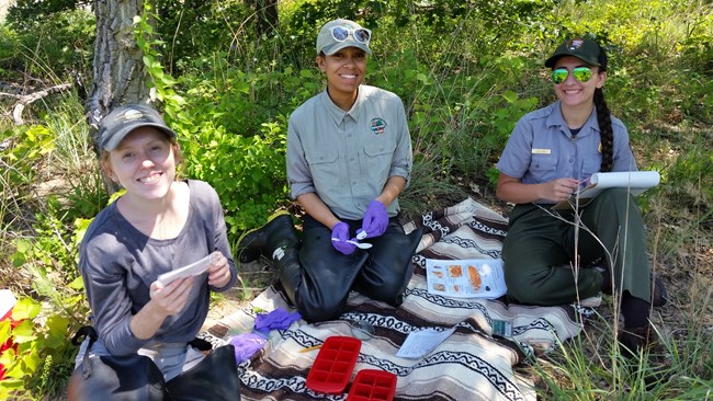 A park ranger, an intern, and a volunteer sit smiling with DMP materials.