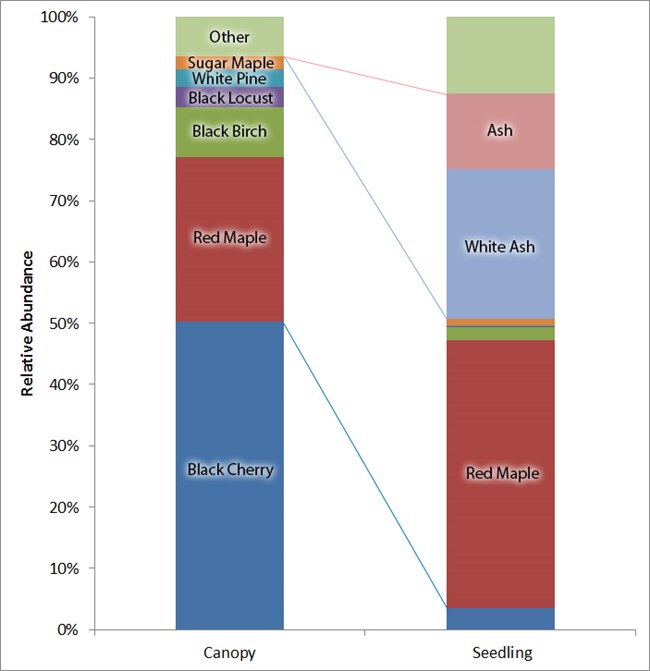 JOFL forest composition Chart showing the relative abundance of tree species in the canopy and seedling layers.