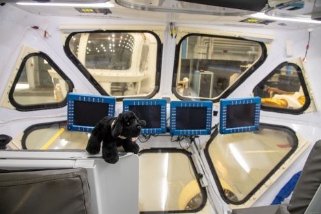 JSC1 toy dog near a space vehicle