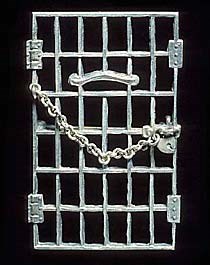 jailed for freedom pin