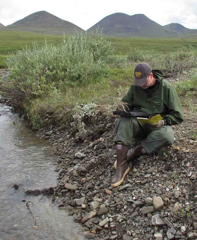 JasonJTaylor_web Jason sits at the edge of a small stream on the Alaska tundra recording data.