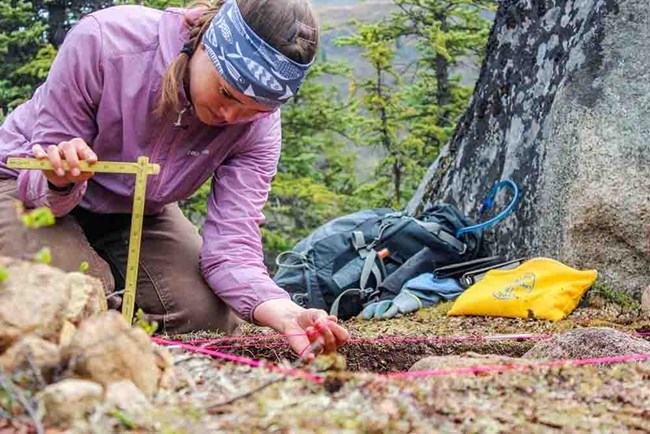 Jillian Richie laying out an archaeological study site.