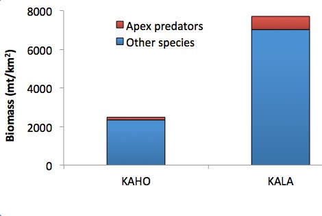 Figure 1. Average fish biomass (metric tonnes/kilometer cubed) at KAHO and KALA from 2007 to 2011