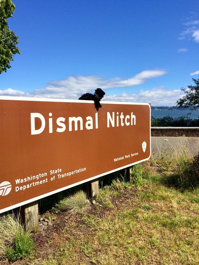 toy dog on sign reading Dismal Nitch