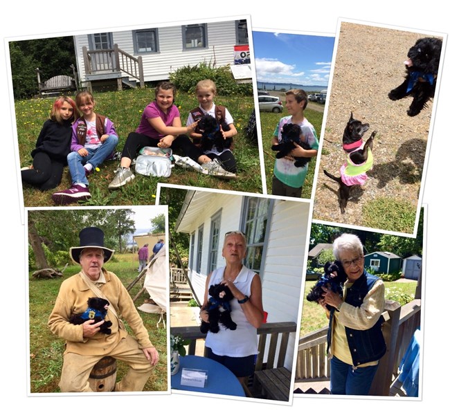 Toy dog with visitors