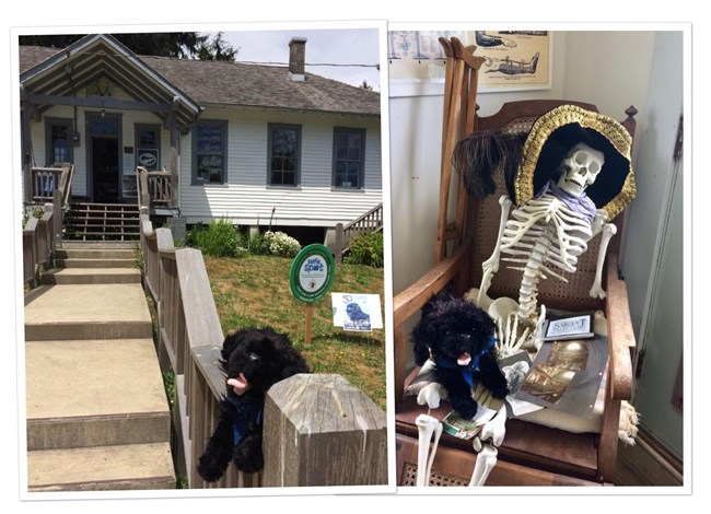 toy dog near skeleton