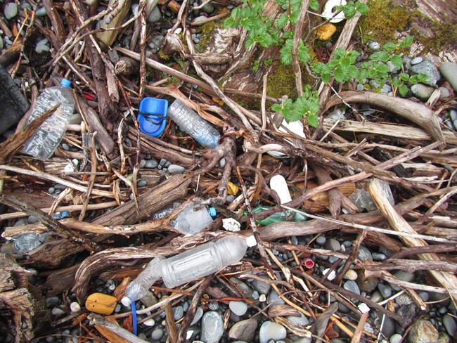 Several pieces of marine debris including multiple plastic bottles on shore