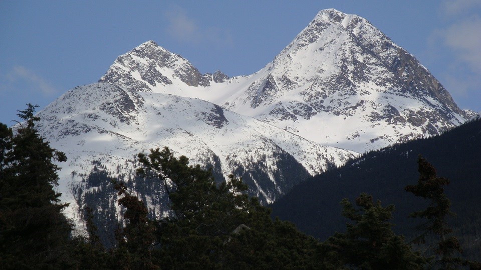 A snow-covered mountain behind trees