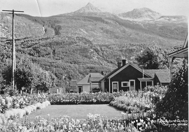 Blanchard Garden in the neighborhood of Skagway.