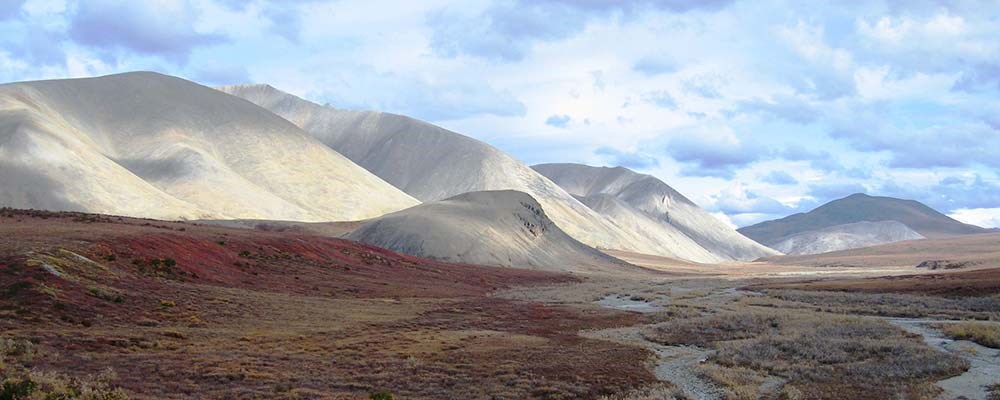 KOVAfallNPS_web Fall in the Kobuk Valley tundra.