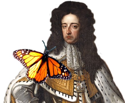 KWIII King William the 3rd with a monarch buttergly on his shoulder