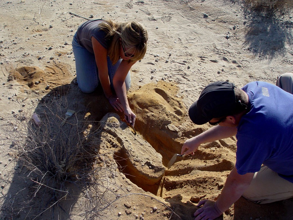 Scientists kneel in the dirt to excavate a mammoth tusk.