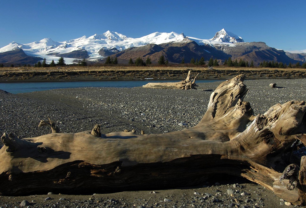 Mt. Steller and Kukak Volcano from Hallo Bay beach