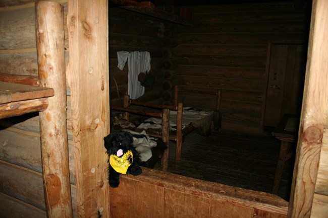 toy dog at fort
