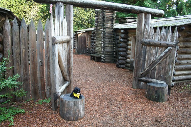 toy dog near fort