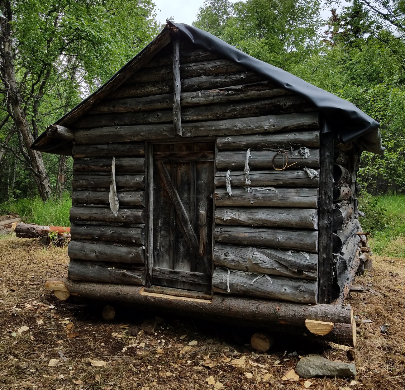 Kennedy Rasmussen Cache Image of a small log building in a forested landscape.