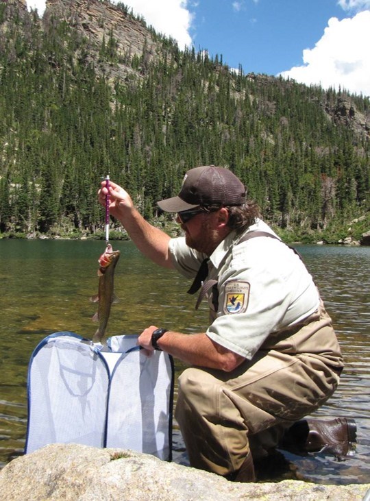 A man kneels while holding a fish up as part of a sampling campaign.