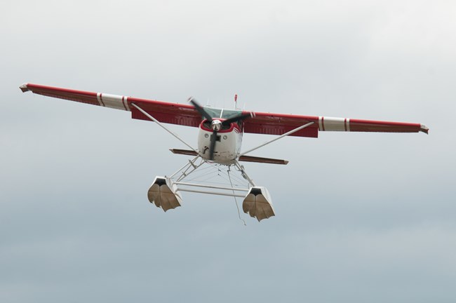NPS plane in the sky A front view of a red and white Cessna 185 aircraft on floats