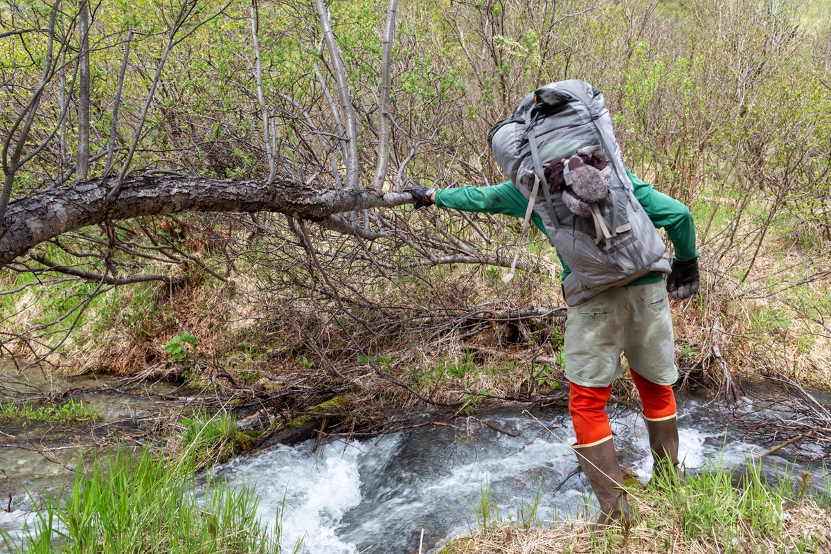 Image of a hiker preparing to cross a stream.