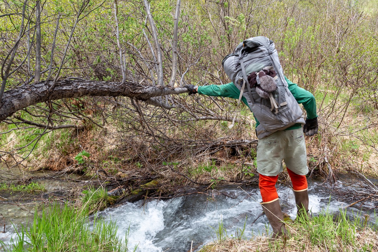 Creek Crossing Image of a hiker preparing to cross a stream.