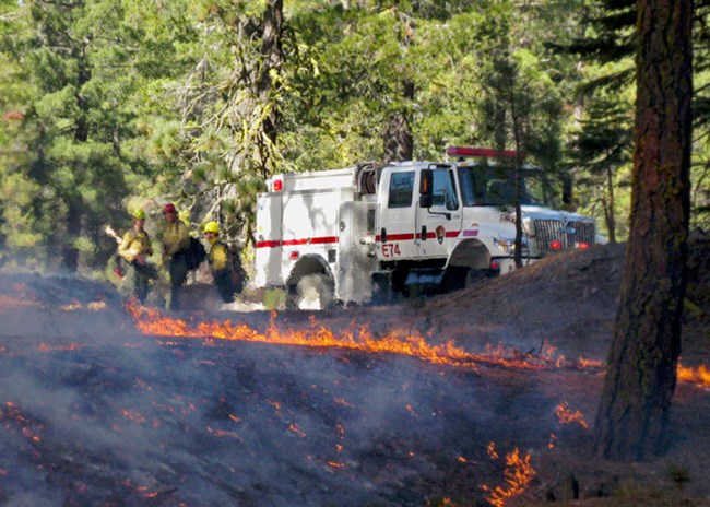 Wildland Fire Engines (U.S. National Park Service)